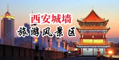 皮眼被爆插中国陕西-西安城墙旅游风景区