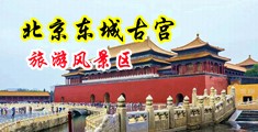 日韩干B区中国北京-东城古宫旅游风景区